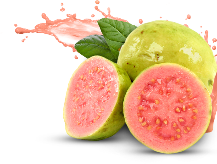 guava juices mostrecent video