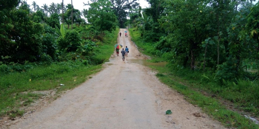 Road leading to Sarete Village in South Santo Area Two.