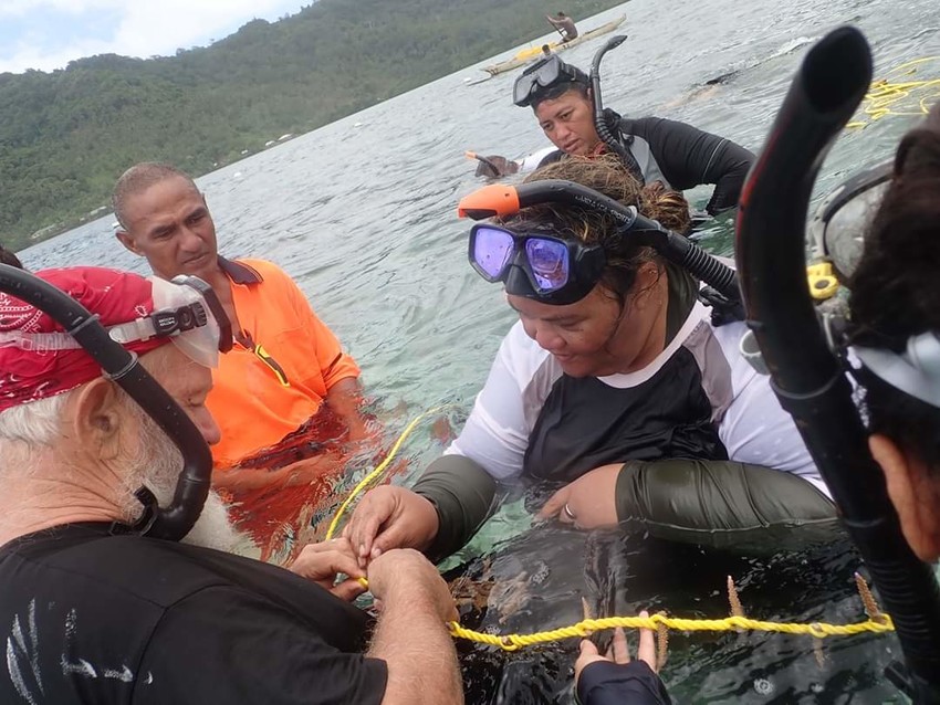 Coral Replanting