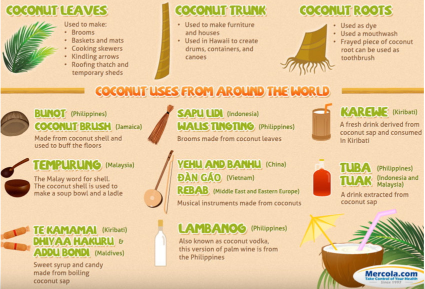 Coconut Husks are Best Alternatives to Wood