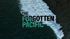 The Forgotten Pacific | Official Trailer