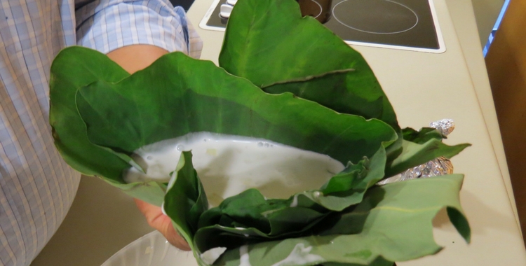 Taro Leaves: Nutrition, Benefits, and Uses